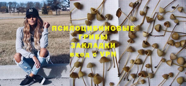 гидропоника Арсеньев