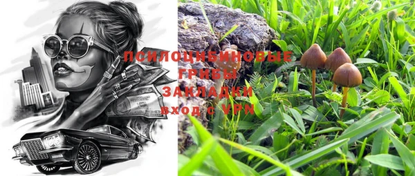 молекула духа Армянск