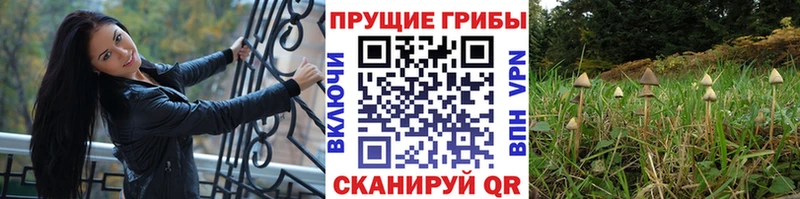 Галлюциногенные грибы мухоморы  Приморск 